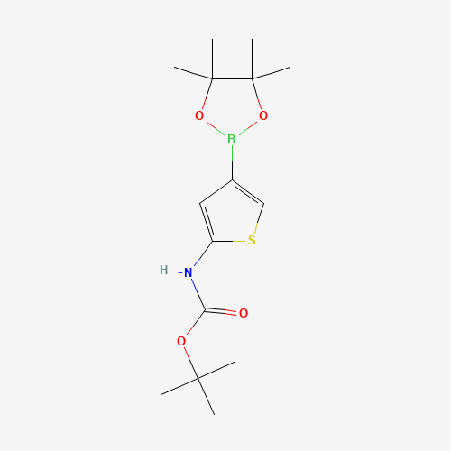tert-Butyl (4-(4,4,5,5-tetramethyl-1,3,2-dioxaborolan-2-yl)thiophen-2-yl)carbamate