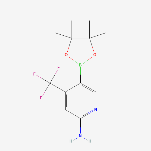 5-(4,4,5,5-Tetramethyl-1,3,2-dioxaborolan-2-yl)-4-(trifluoromethyl)pyridin-2-amine