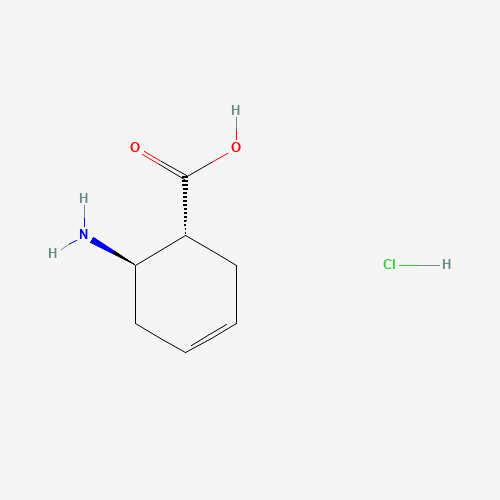 (1R,6R)-6-Aminocyclohex-3-ene-1-carboxylic acid hydrochloride
