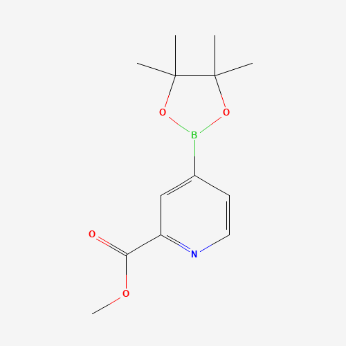 Methyl 4-(4,4,5,5-tetramethyl-1,3,2-dioxaborolan-2-yl)picolinate