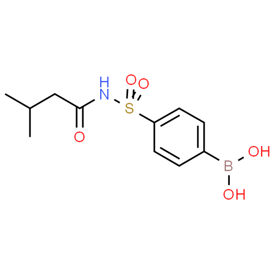 (4-(N-(3-Methylbutanoyl)sulfamoyl)phenyl)boronic acid