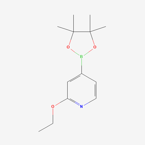 2-Ethoxy-4-(4,4,5,5-tetramethyl-1,3,2-dioxaborolan-2-yl)pyridine