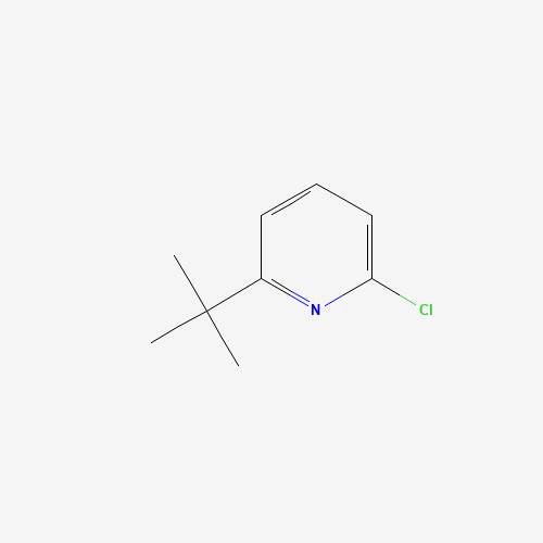 2-(tert-Butyl)-6-chloropyridine