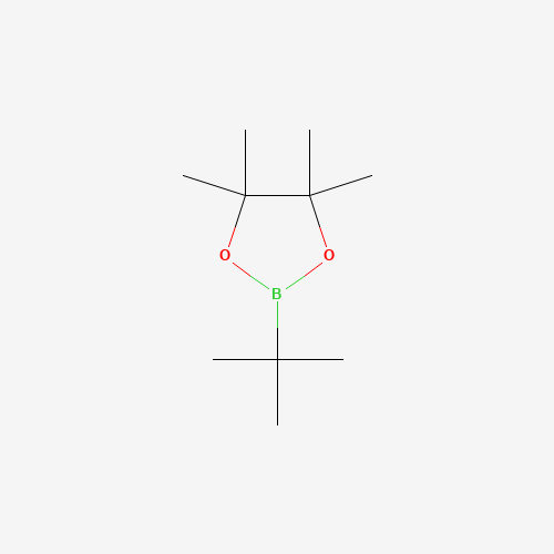 2-(tert-Butyl)-4,4,5,5-tetramethyl-1,3,2-dioxaborolane