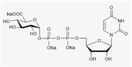 UDP-GlcA.3Na