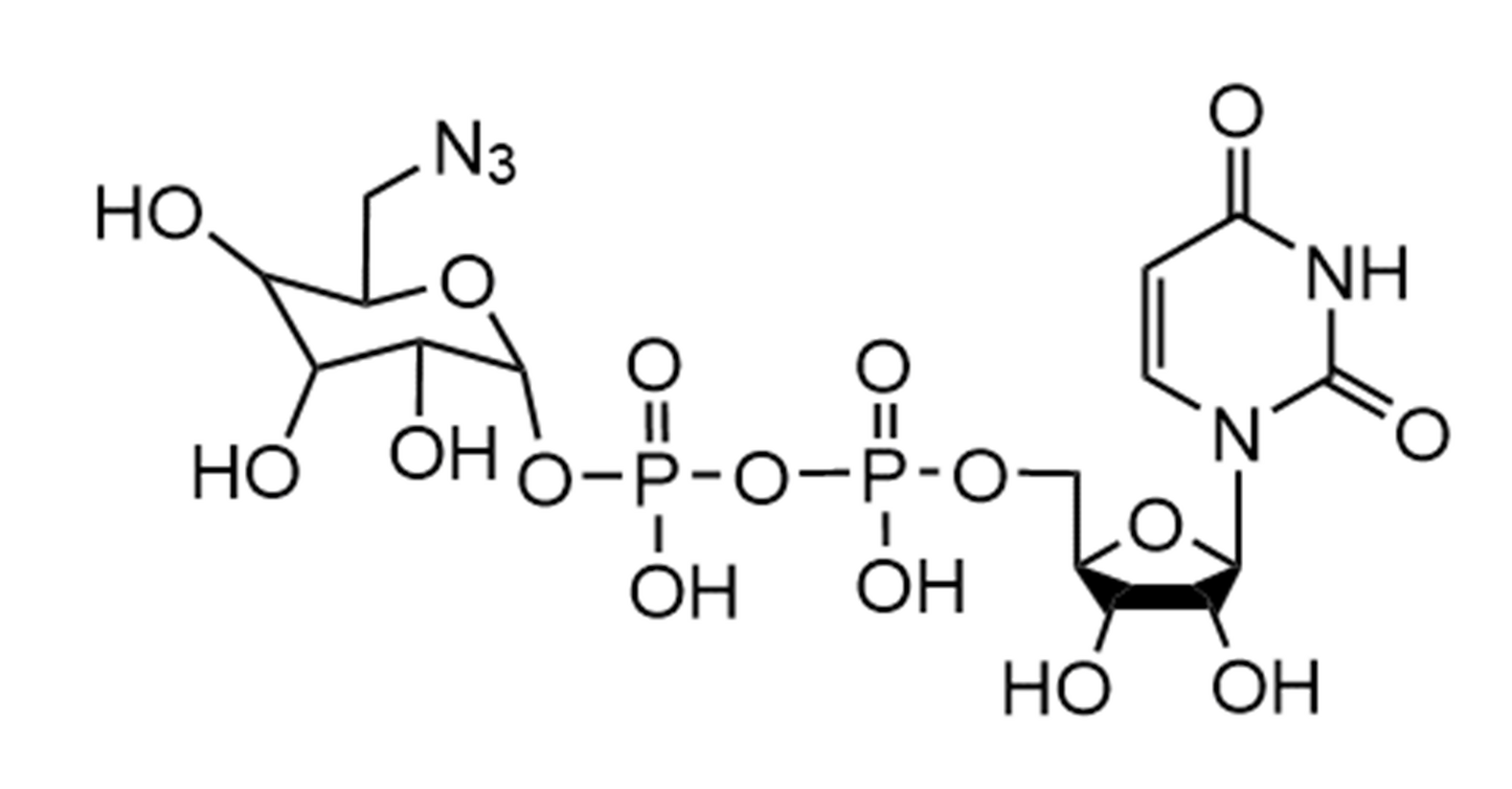 UDP-6-N3-Gal.2Na