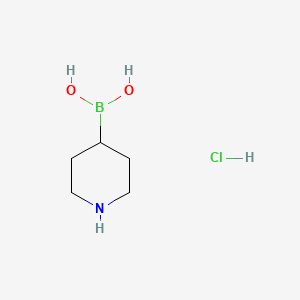 Piperidin-4-ylboronic acid hydrochloride