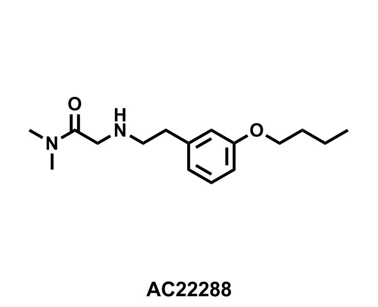 2-((3-Butoxyphenethyl)amino)-N,N-dimethylacetamide