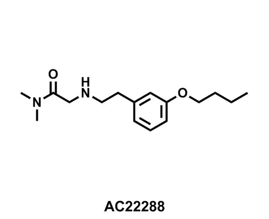 2-((3-Butoxyphenethyl)amino)-N,N-dimethylacetamide