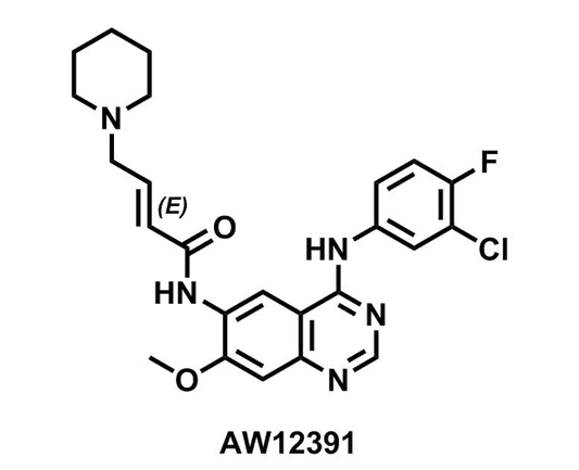 (2E)-N-[4-[(3-Chloro-4-fluorophenyl)amino]-7-methoxy-6-quinazolinyl]-4-(1-piperidinyl)-2-butenamide