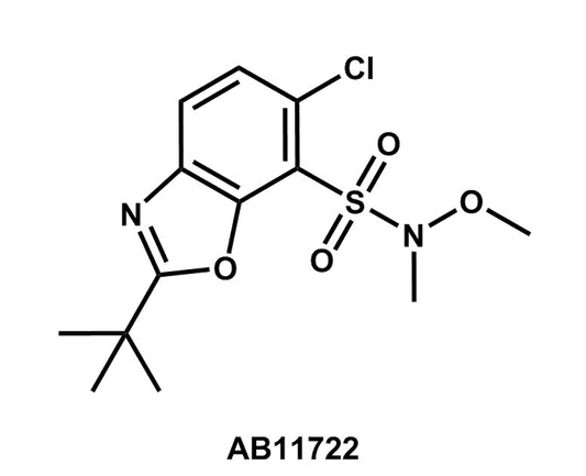 2-tert-Butyl-6-chloro-N-methoxy-N-methyl-1,3-benzoxazole-7-sulfonamide - Achmem