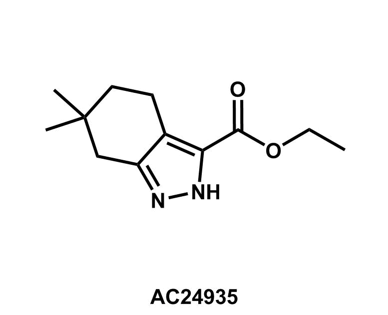 6,6-Dimethyl-4,5,6,7-tetrahydro-2H-indazole-3-carboxylic acid ethyl ester - Achmem