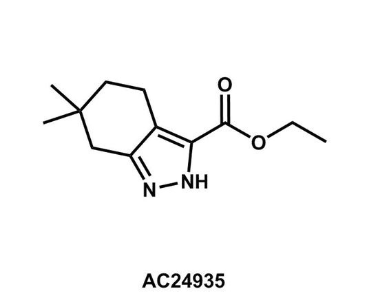 6,6-Dimethyl-4,5,6,7-tetrahydro-2H-indazole-3-carboxylic acid ethyl ester - Achmem