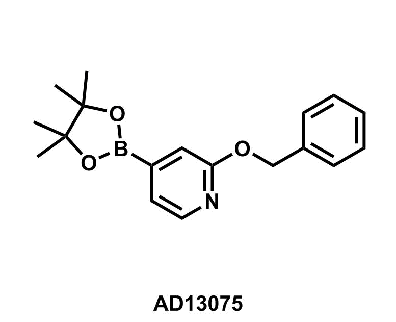 2-Phenylmethoxy-4-(4,4,5,5-tetramethyl-1,3,2-dioxaborolan-2-yl)pyridine - Achmem