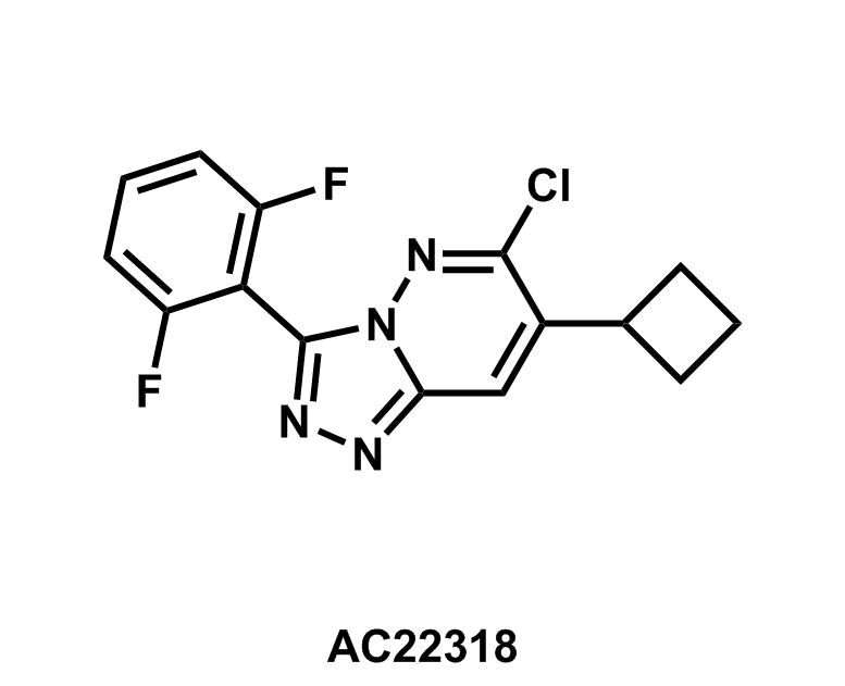 6-Chloro-7-cyclobutyl-3-(2,6-difluorophenyl)-[1,2,4]triazolo[4,3-b]pyridazine