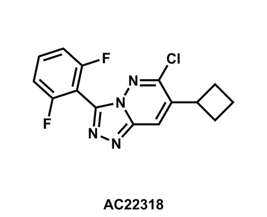 6-Chloro-7-cyclobutyl-3-(2,6-difluorophenyl)-[1,2,4]triazolo[4,3-b]pyridazine