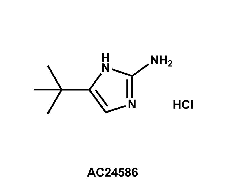 4-(tert-Butyl)-1H-imidazol-2-amine hydrochloride