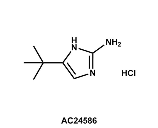 4-(tert-Butyl)-1H-imidazol-2-amine hydrochloride