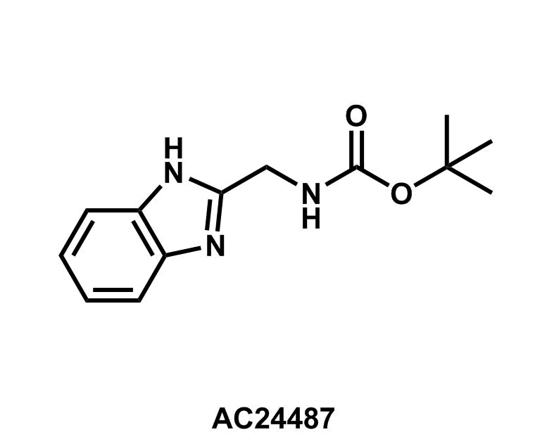 tert-Butyl ((1H-benzo[d]imidazol-2-yl)methyl)carbamate - Achmem