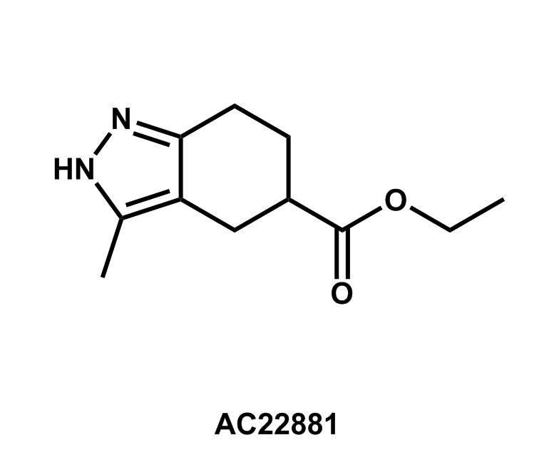 Ethyl 3-methyl-4,5,6,7-tetrahydro-2H-indazole-5-carboxylate - Achmem