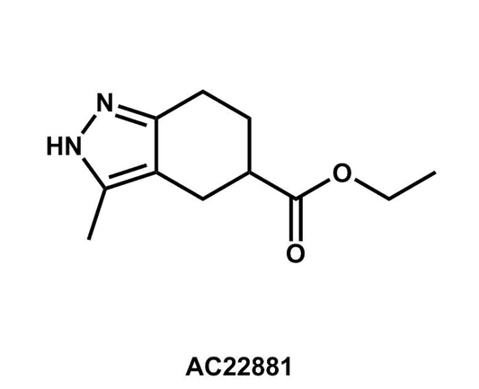 Ethyl 3-methyl-4,5,6,7-tetrahydro-2H-indazole-5-carboxylate - Achmem