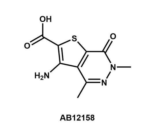 3-Amino-4,6-dimethyl-7-oxo-6,7-dihydrothieno[2,3-d]pyridazine-2-carboxylic acid