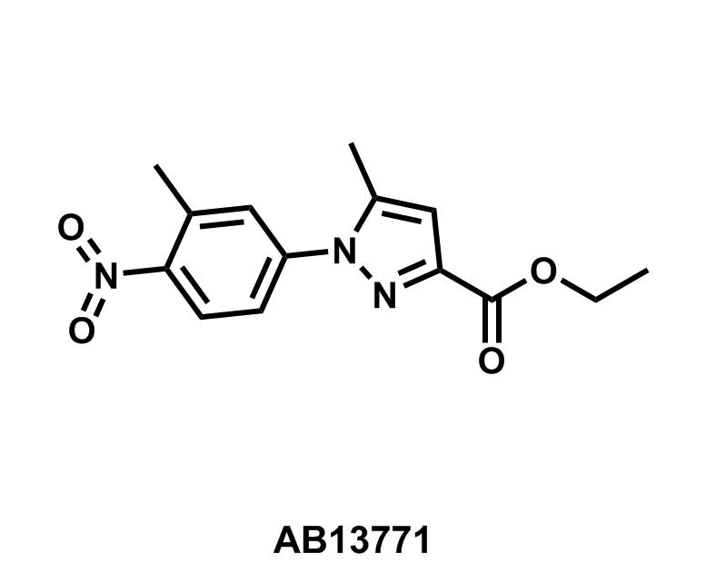 Ethyl 5-methyl-1-(3-methyl-4-nitrophenyl)-1H-pyrazole-3-carboxylate