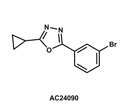 2-(3-Bromophenyl)-5-cyclopropyl-1,3,4-oxadiazole - Achmem