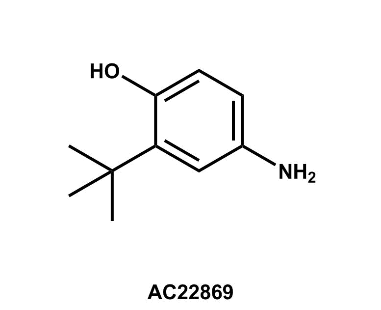 4-Amino-2-(tert-butyl)phenol - Achmem