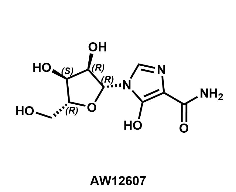 Mizoribine