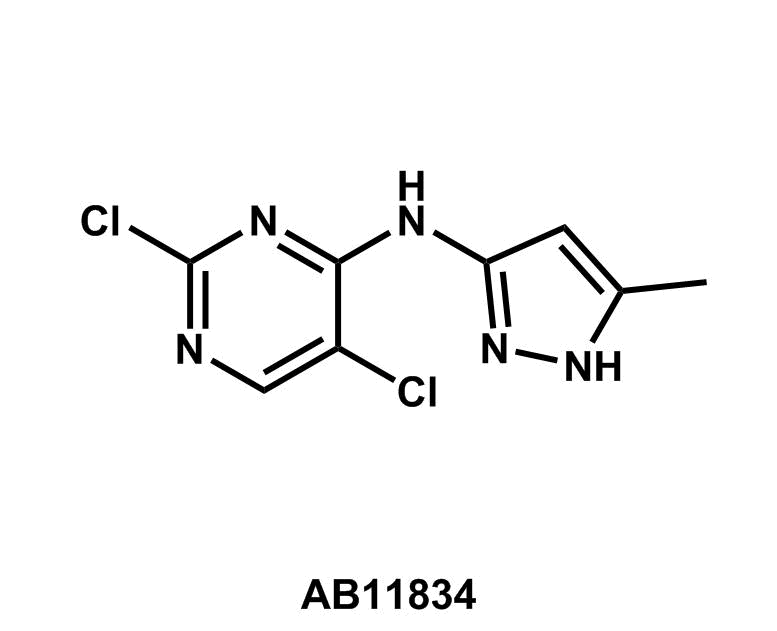 2,5-Dichloro-N-(5-methyl-1H-pyrazol-3-yl)pyrimidin-4-amine