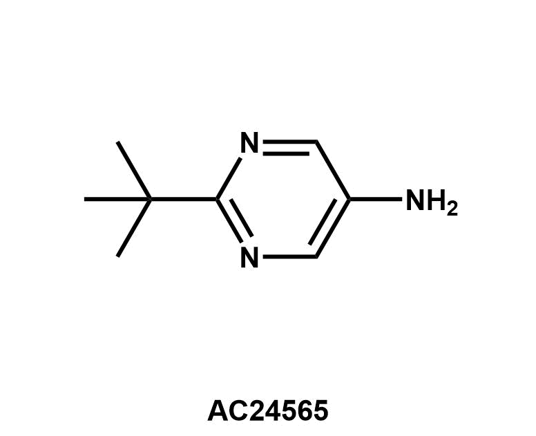 2-(tert-Butyl)pyrimidin-5-amine