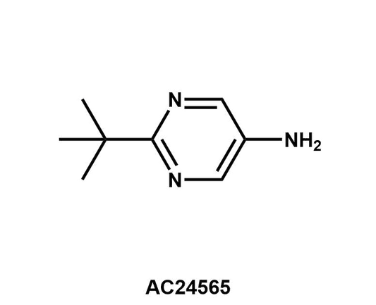 2-(tert-Butyl)pyrimidin-5-amine