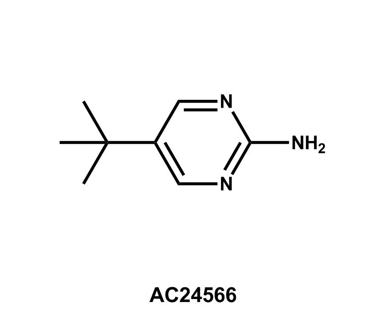 5-(tert-Butyl)pyrimidin-2-amine