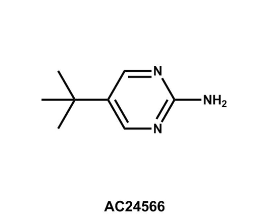 5-(tert-Butyl)pyrimidin-2-amine